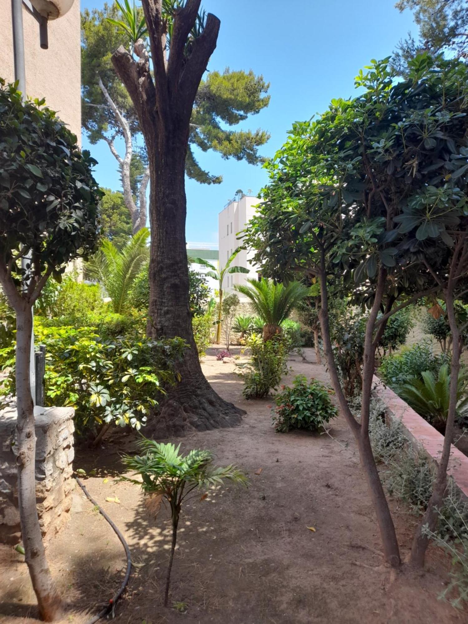 Torremolinos Centro Beach Daire Dış mekan fotoğraf